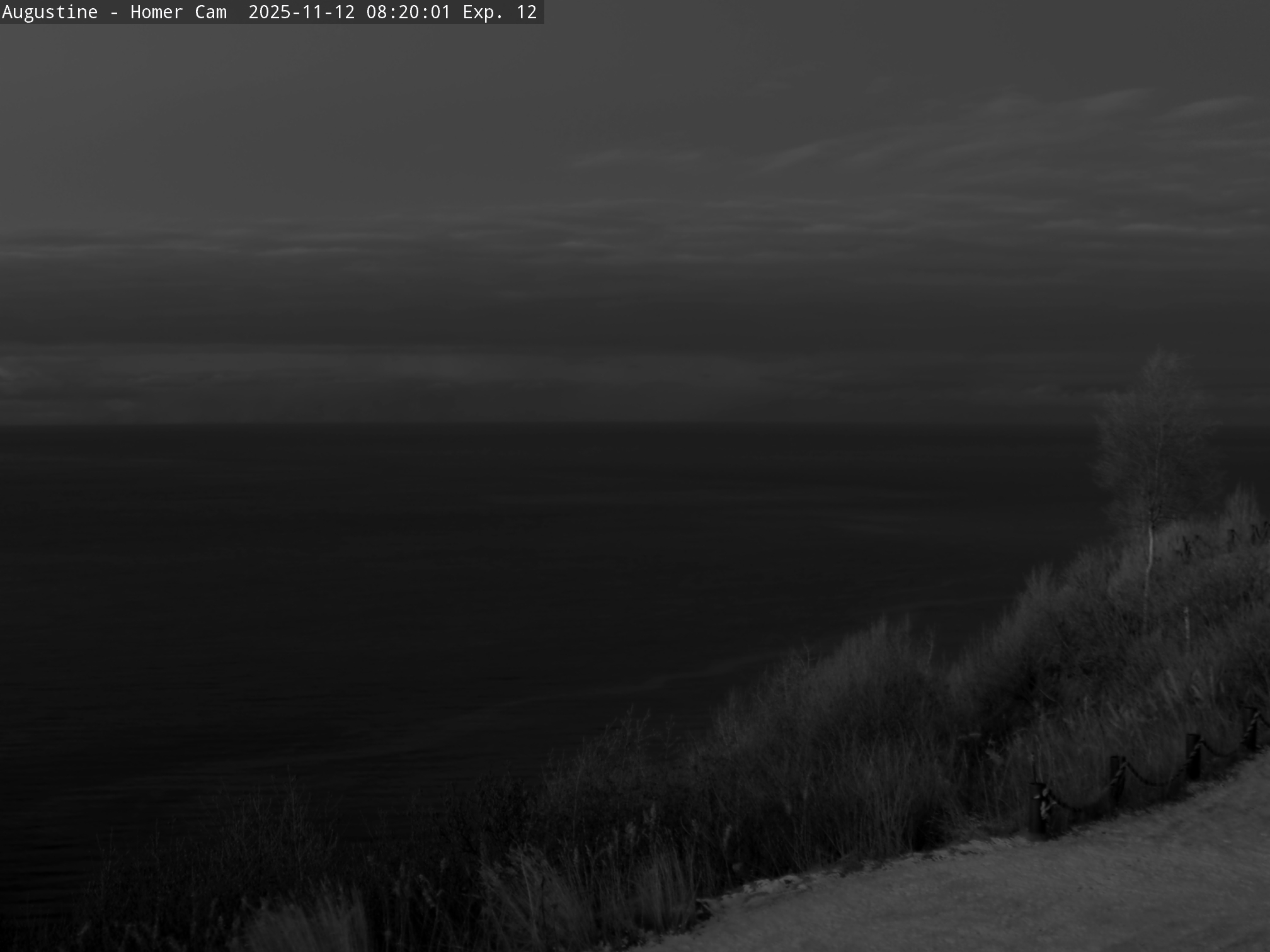 Augustine [Homer, 709 ft]