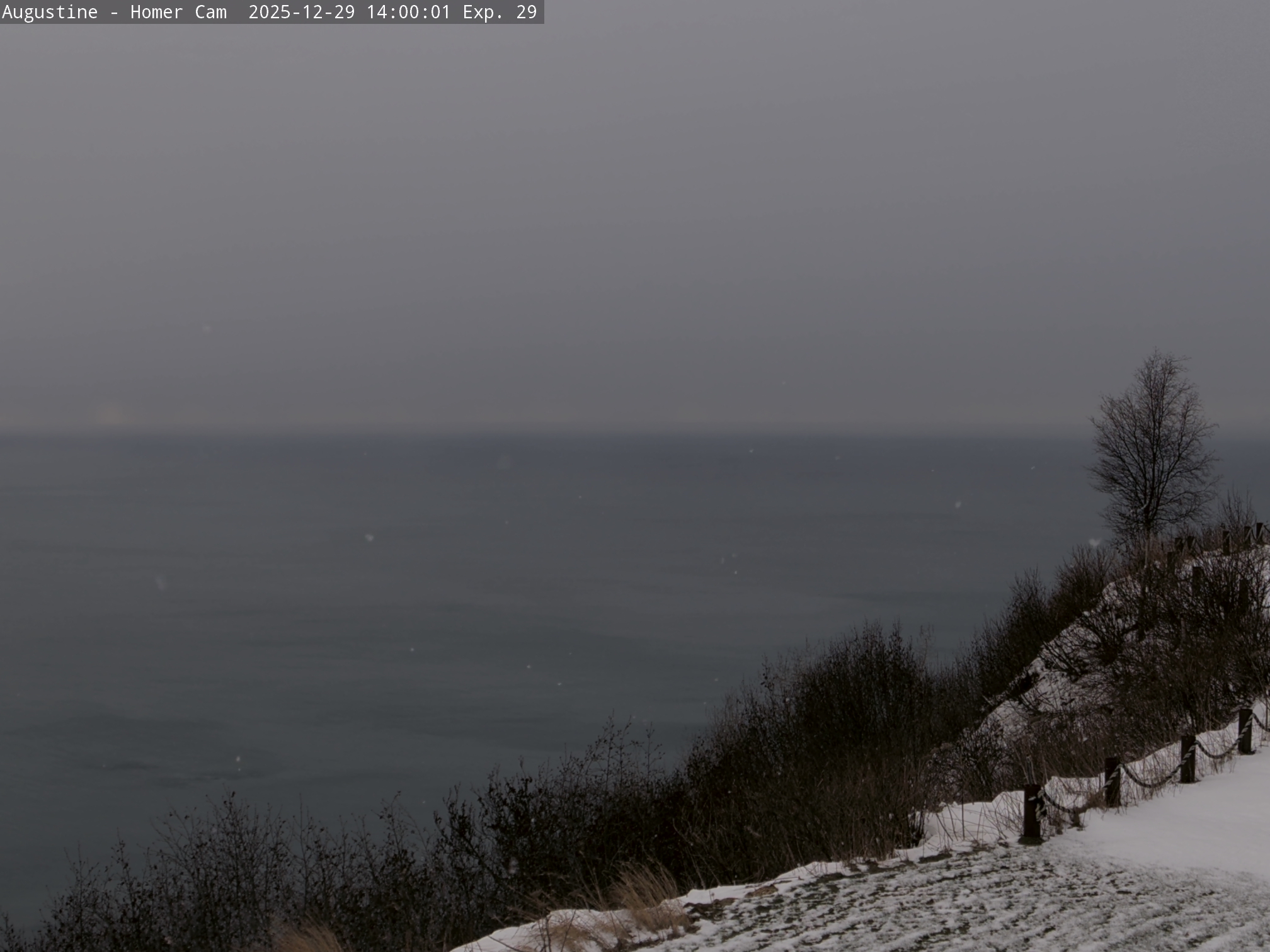 Augustine [Homer, 709 ft]