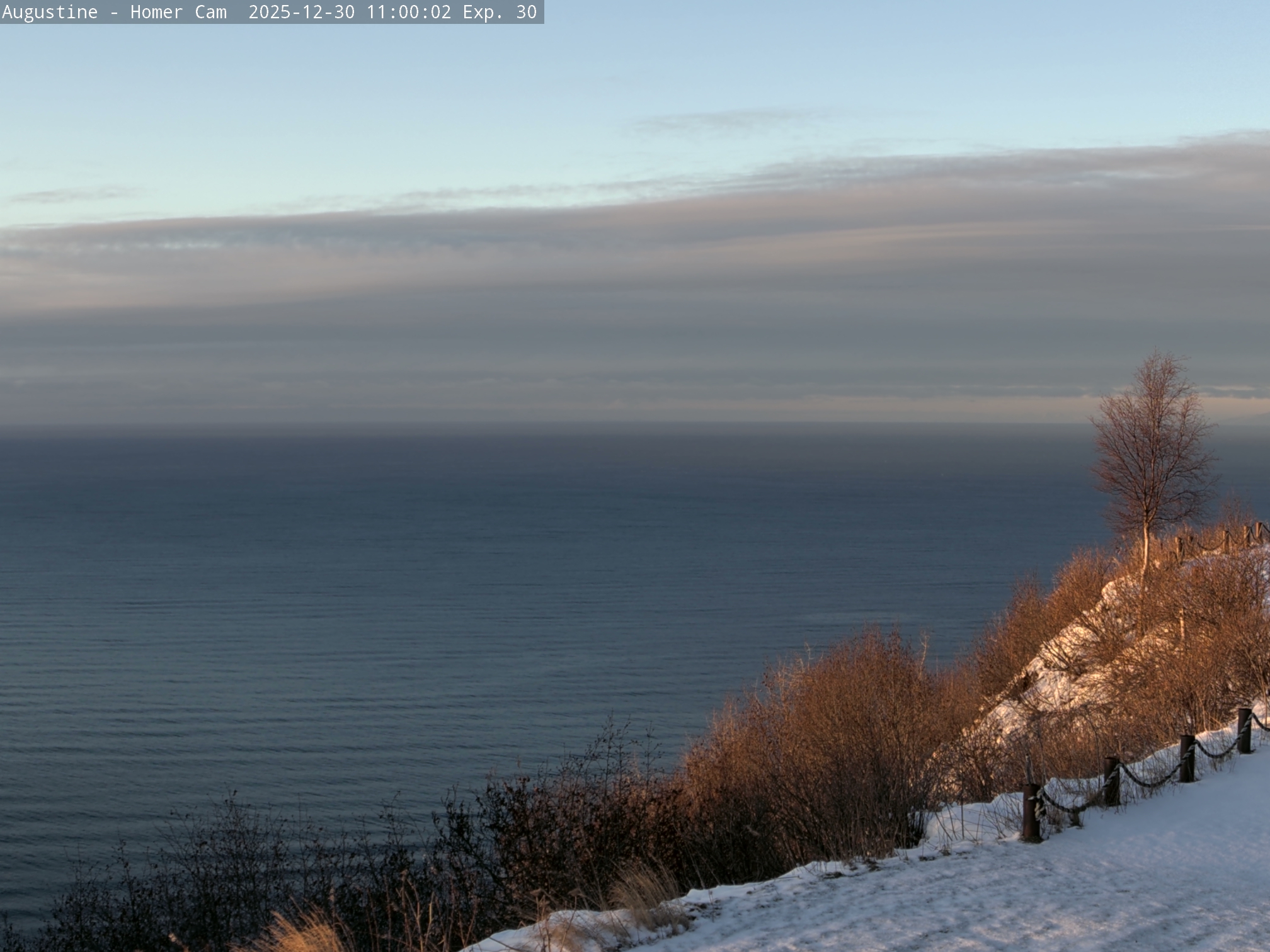 Augustine [Homer, 709 ft]