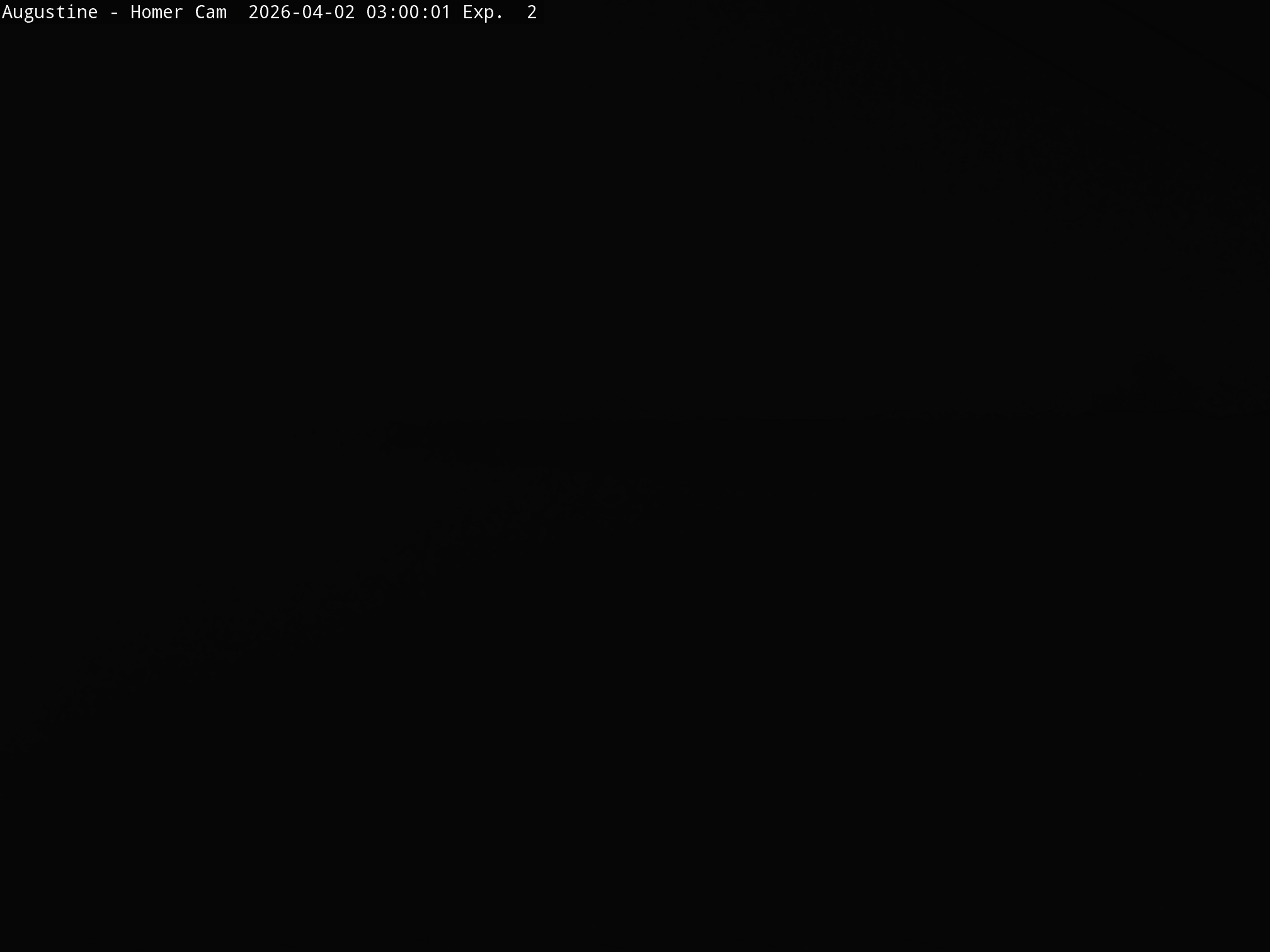 Augustine [Homer, 709 ft]