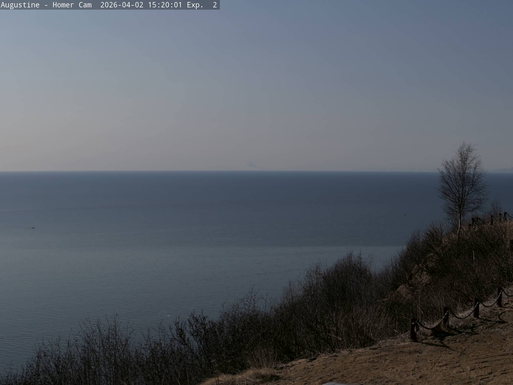 Augustine [Homer, 709 ft]