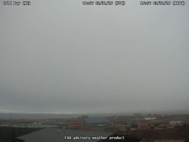 Cold Bay - NE