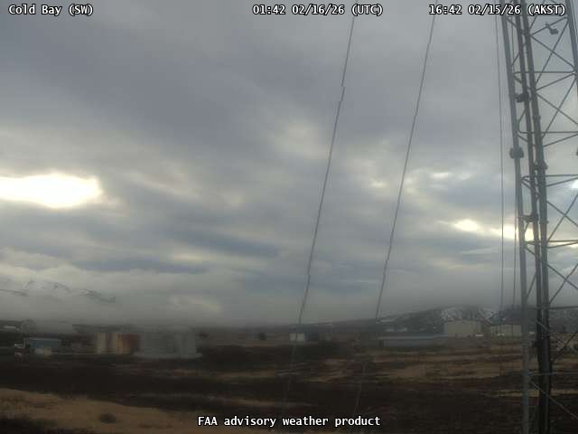 Cold Bay - SW