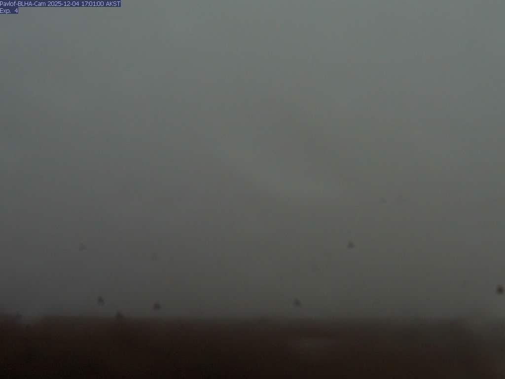 Pavlof [BLHA, 1309 ft]