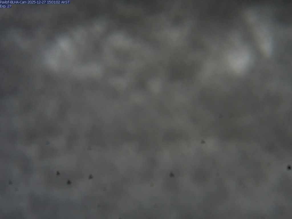 Pavlof [BLHA, 1309 ft]