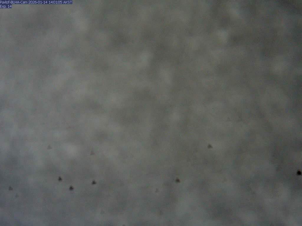 Pavlof [BLHA, 1309 ft]