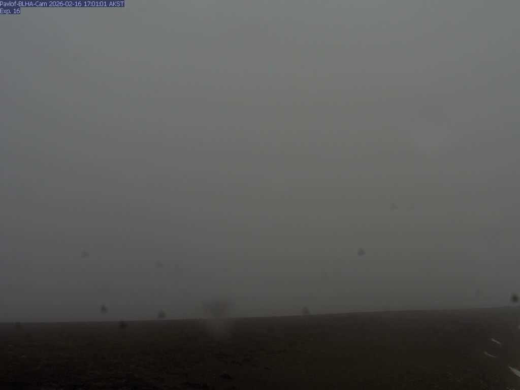 Pavlof [BLHA, 1309 ft]