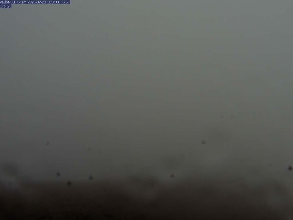 Pavlof [BLHA, 1309 ft]