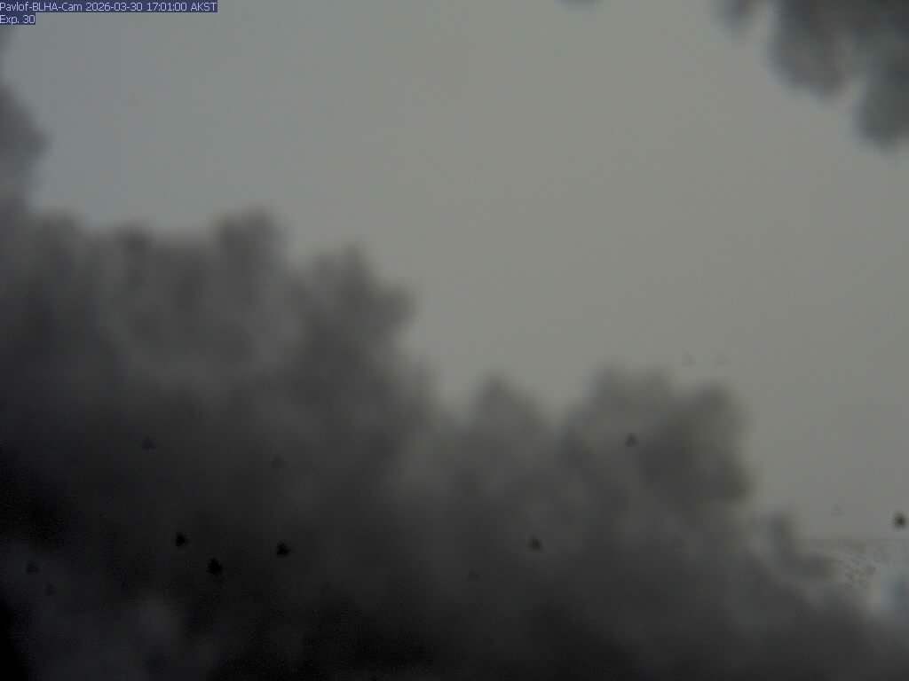 Pavlof [BLHA, 1309 ft]