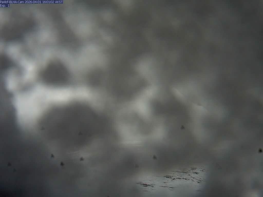 Pavlof [BLHA, 1309 ft]