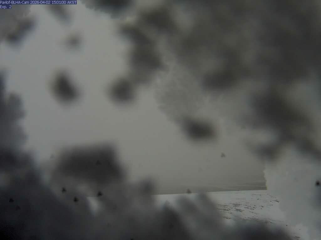 Pavlof [BLHA, 1309 ft]