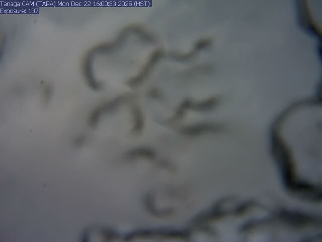 Tanaga [TAPA, 2100 ft]